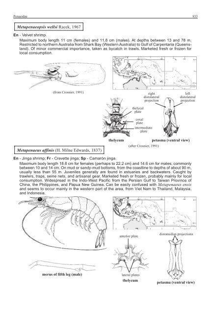 FAO Species Identification Guide for Fishery Purposes Western
