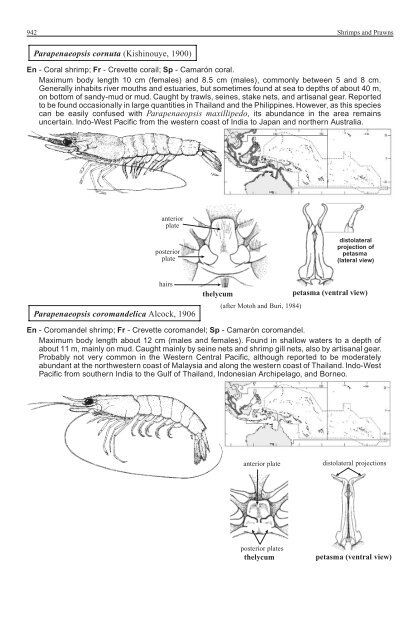 FAO Species Identification Guide for Fishery Purposes Western