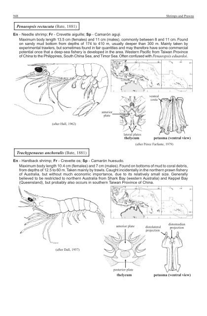 FAO Species Identification Guide for Fishery Purposes Western