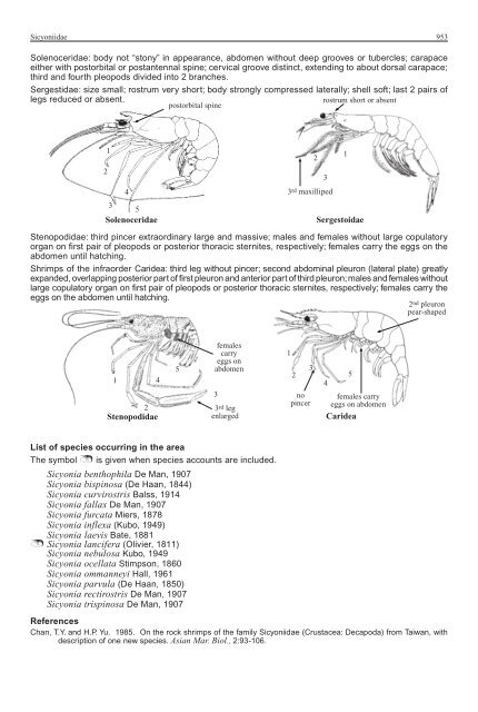 FAO Species Identification Guide for Fishery Purposes Western