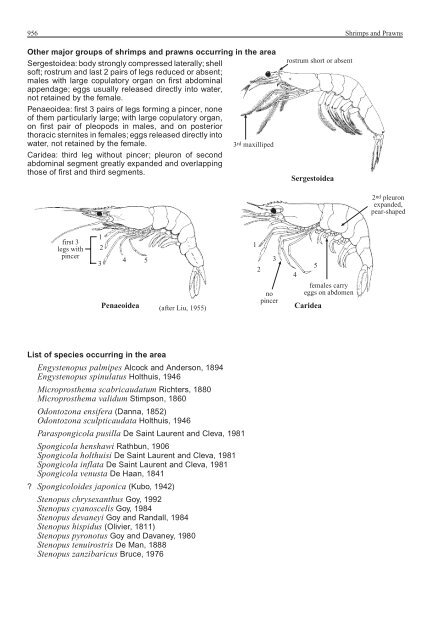 FAO Species Identification Guide for Fishery Purposes Western