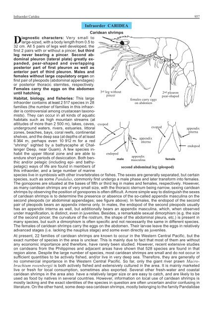 FAO Species Identification Guide for Fishery Purposes Western