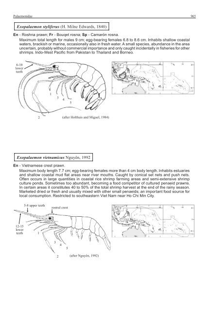 FAO Species Identification Guide for Fishery Purposes Western