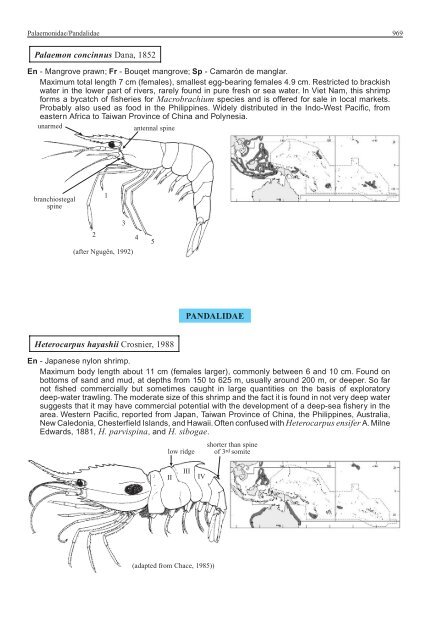 FAO Species Identification Guide for Fishery Purposes Western