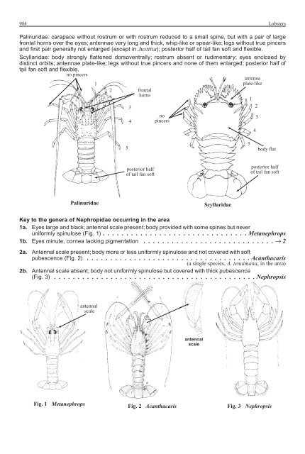 FAO Species Identification Guide for Fishery Purposes Western