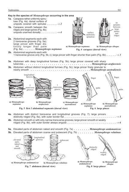 FAO Species Identification Guide for Fishery Purposes Western