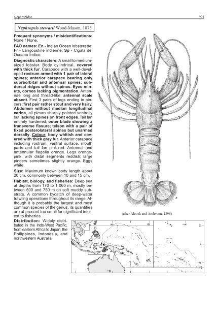 FAO Species Identification Guide for Fishery Purposes Western