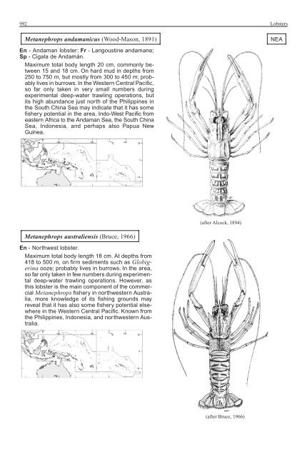 FAO Species Identification Guide for Fishery Purposes Western