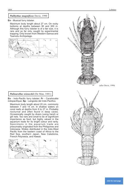 FAO Species Identification Guide for Fishery Purposes Western