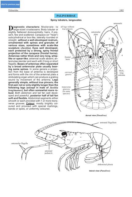 FAO Species Identification Guide for Fishery Purposes Western