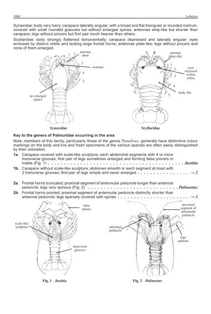 FAO Species Identification Guide for Fishery Purposes Western