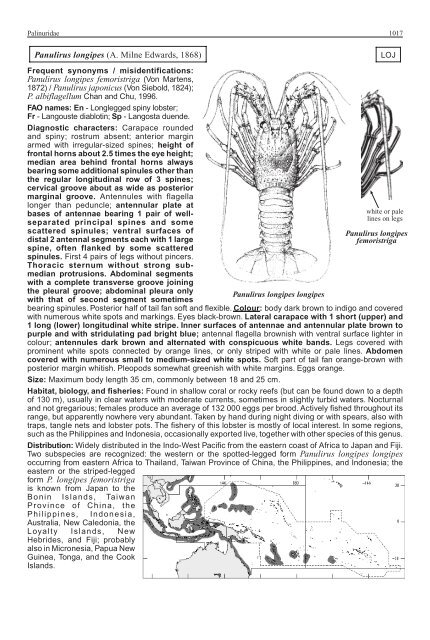 FAO Species Identification Guide for Fishery Purposes Western