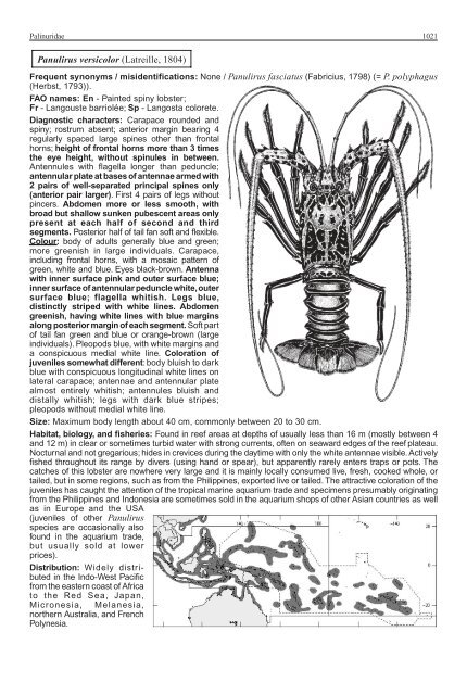 FAO Species Identification Guide for Fishery Purposes Western