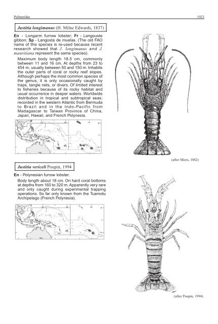 FAO Species Identification Guide for Fishery Purposes Western