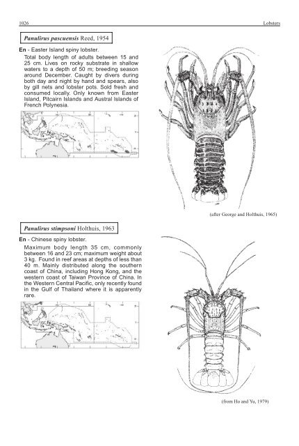 FAO Species Identification Guide for Fishery Purposes Western