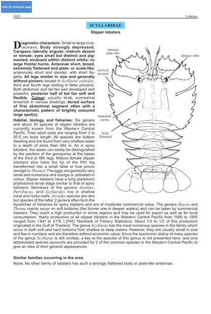 FAO Species Identification Guide for Fishery Purposes Western