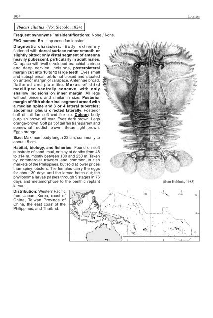 FAO Species Identification Guide for Fishery Purposes Western