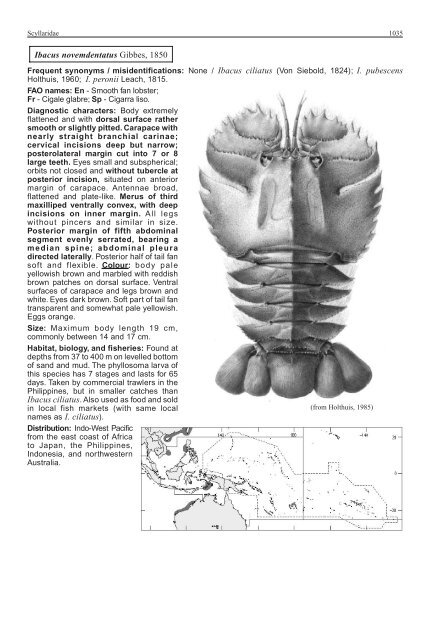 FAO Species Identification Guide for Fishery Purposes Western