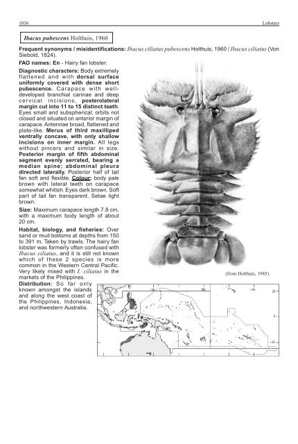 FAO Species Identification Guide for Fishery Purposes Western