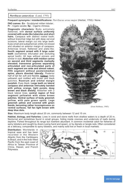 FAO Species Identification Guide for Fishery Purposes Western