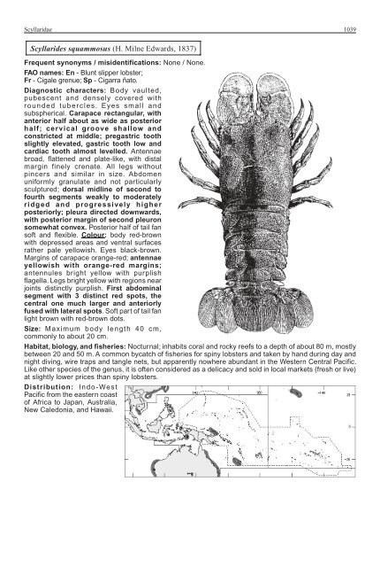 FAO Species Identification Guide for Fishery Purposes Western