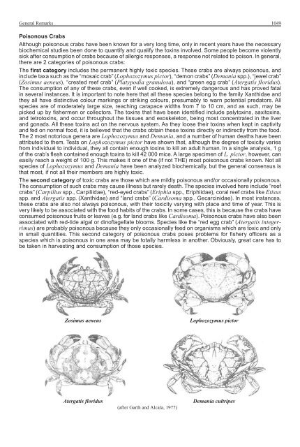 FAO Species Identification Guide for Fishery Purposes Western