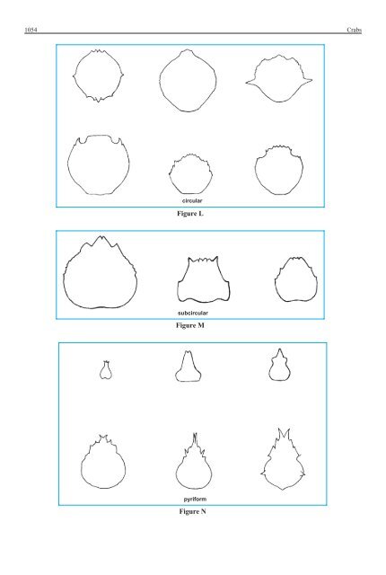 FAO Species Identification Guide for Fishery Purposes Western