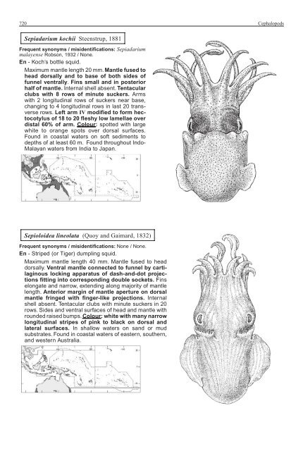 FAO Species Identification Guide for Fishery Purposes Western