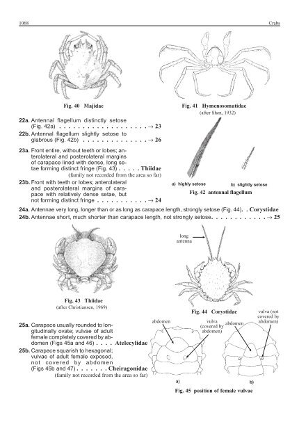 FAO Species Identification Guide for Fishery Purposes Western