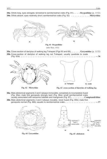 FAO Species Identification Guide for Fishery Purposes Western