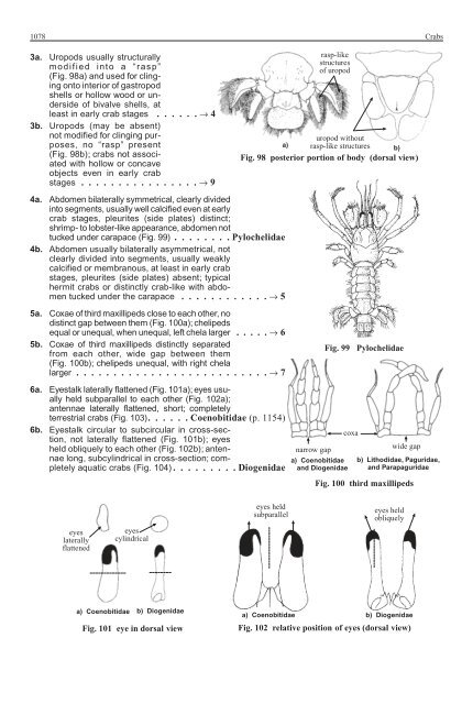 FAO Species Identification Guide for Fishery Purposes Western