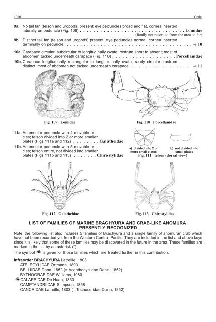 FAO Species Identification Guide for Fishery Purposes Western