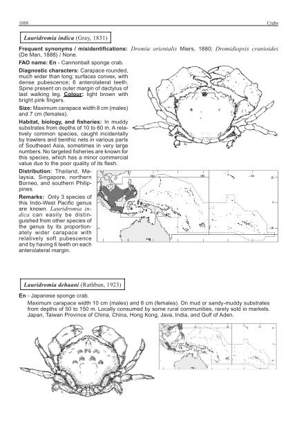 FAO Species Identification Guide for Fishery Purposes Western