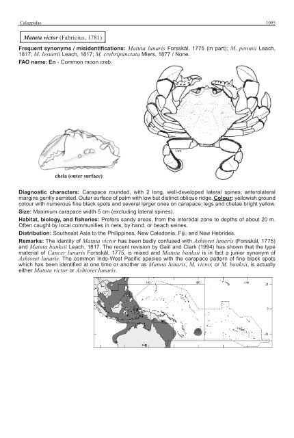 FAO Species Identification Guide for Fishery Purposes Western