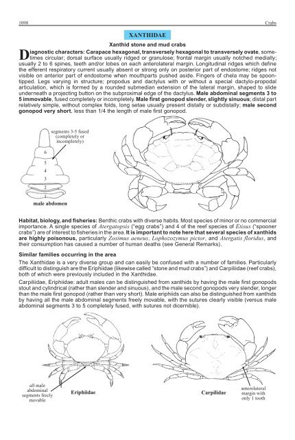 FAO Species Identification Guide for Fishery Purposes Western