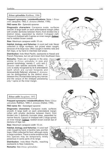 FAO Species Identification Guide for Fishery Purposes Western