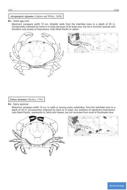 FAO Species Identification Guide for Fishery Purposes Western