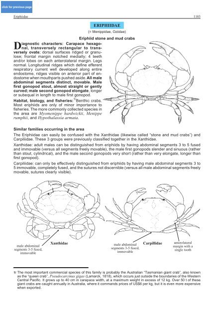 FAO Species Identification Guide for Fishery Purposes Western