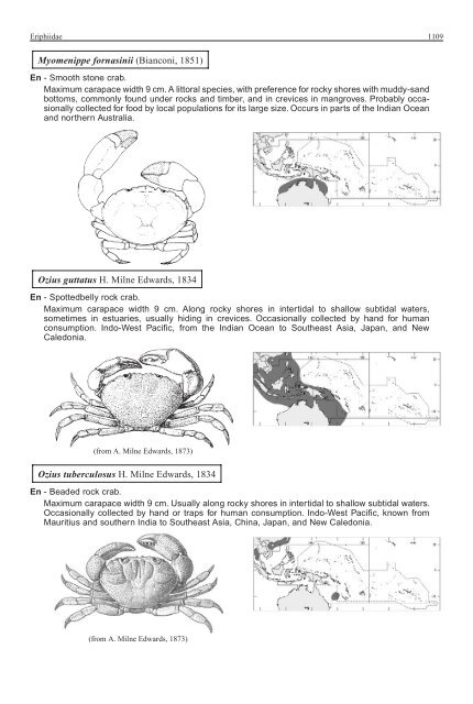 FAO Species Identification Guide for Fishery Purposes Western