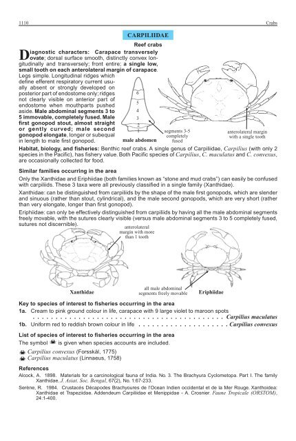 FAO Species Identification Guide for Fishery Purposes Western