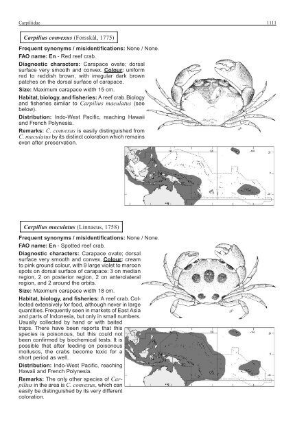 FAO Species Identification Guide for Fishery Purposes Western