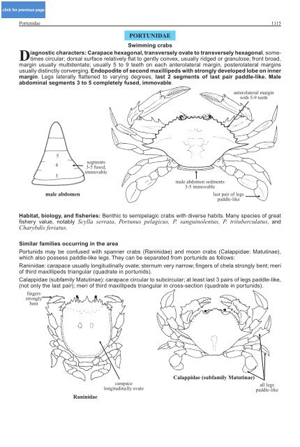 FAO Species Identification Guide for Fishery Purposes Western