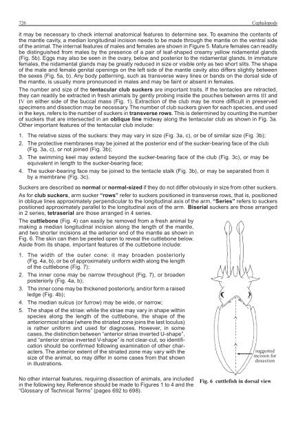 FAO Species Identification Guide for Fishery Purposes Western