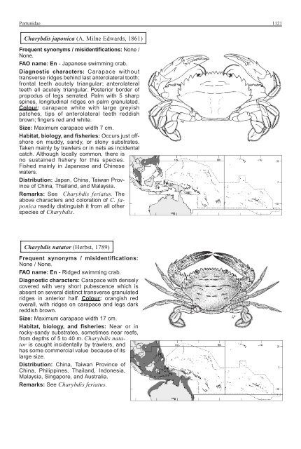 FAO Species Identification Guide for Fishery Purposes Western