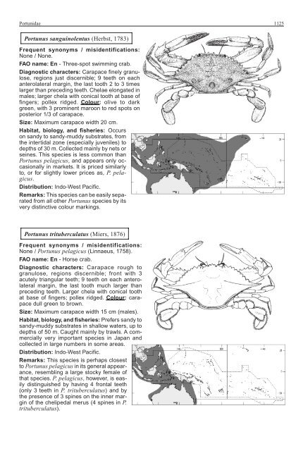 FAO Species Identification Guide for Fishery Purposes Western