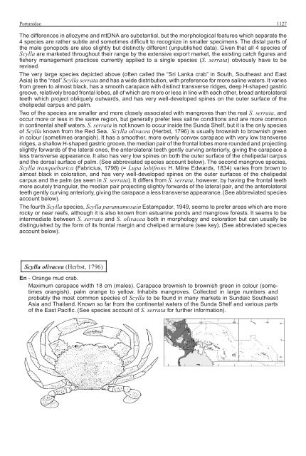 FAO Species Identification Guide for Fishery Purposes Western