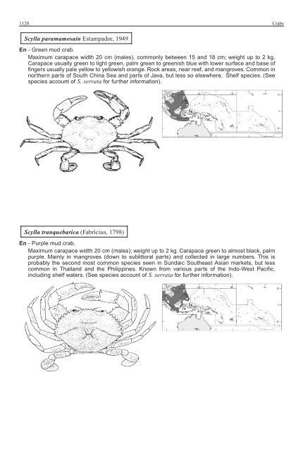 FAO Species Identification Guide for Fishery Purposes Western