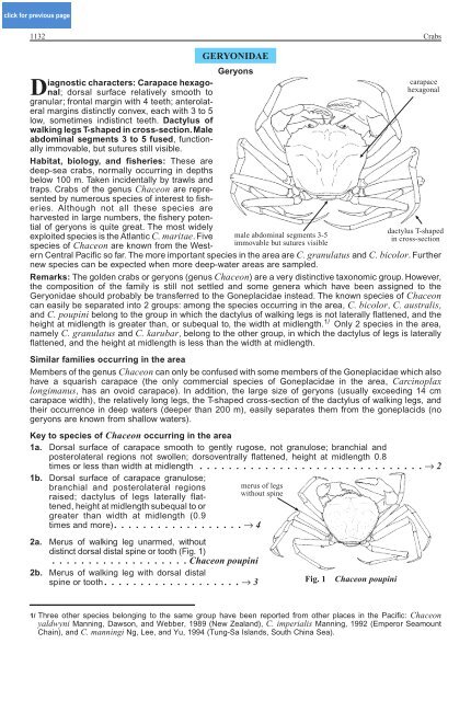 FAO Species Identification Guide for Fishery Purposes Western