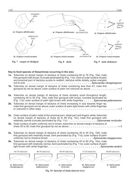 FAO Species Identification Guide for Fishery Purposes Western