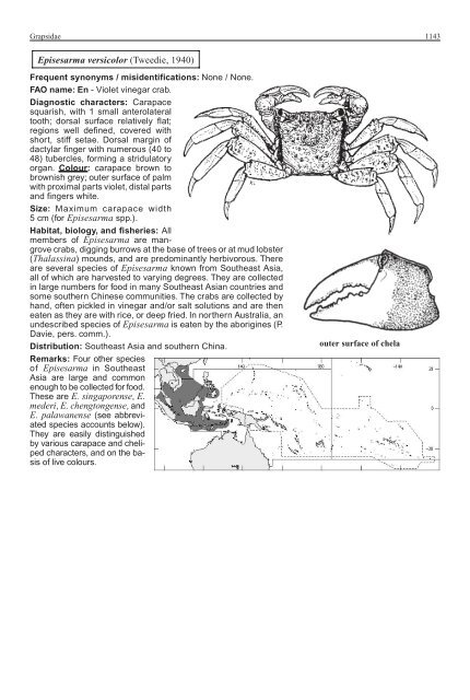 FAO Species Identification Guide for Fishery Purposes Western